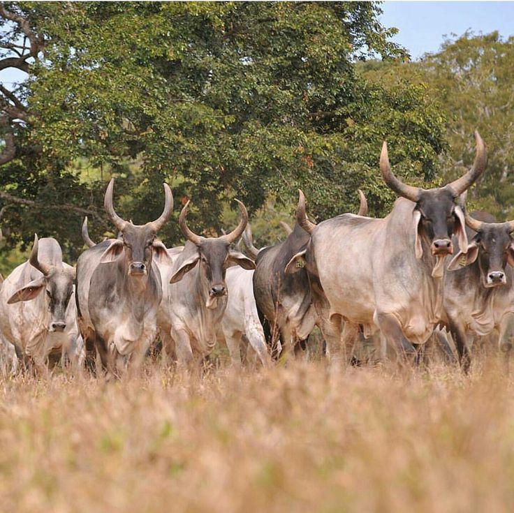 1e9b95f80d3379276fa0fbcd4ee07fcf